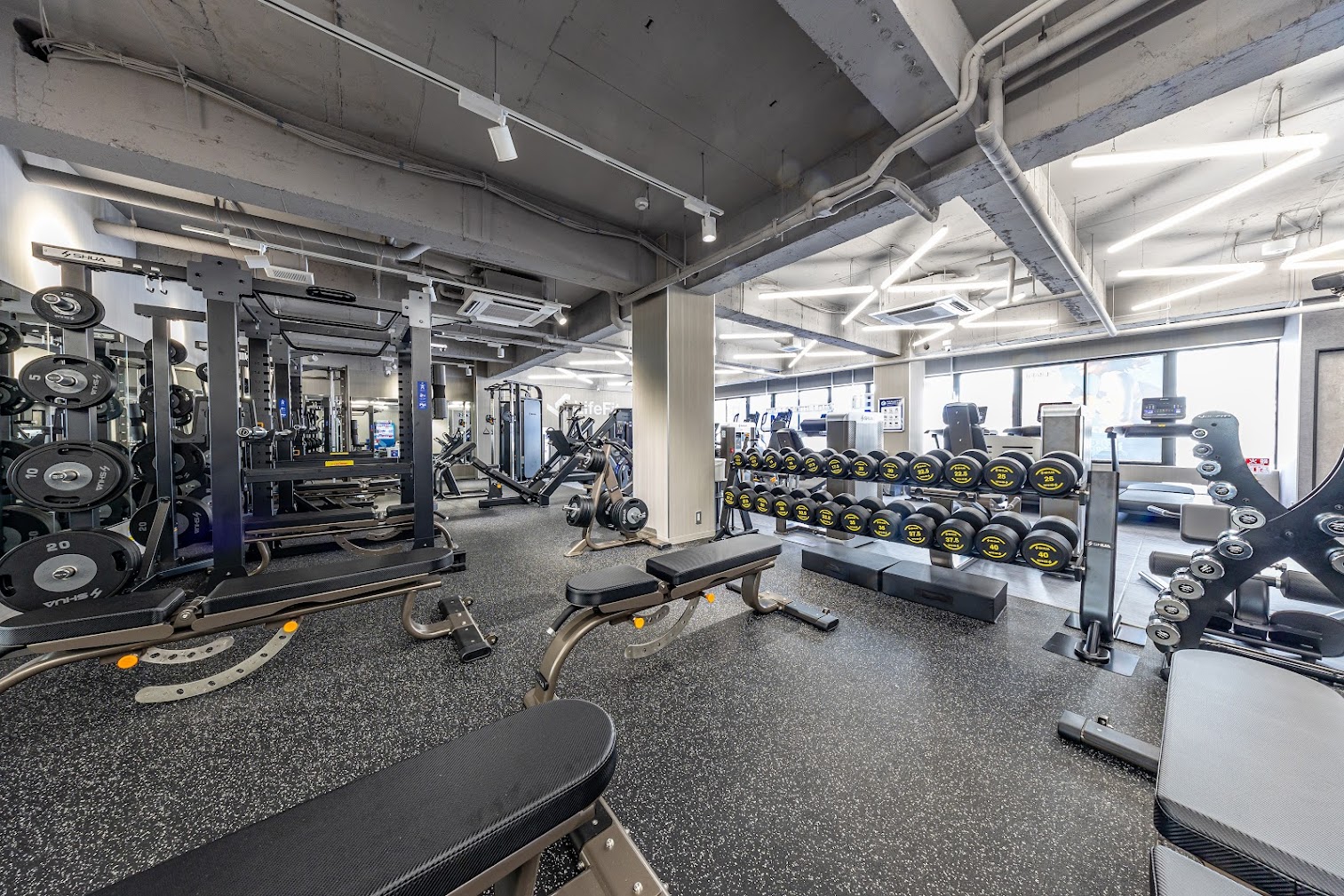 LifeFit藤井寺駅前店